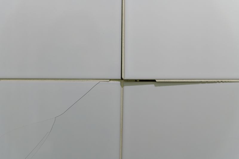 Tile Repair Services